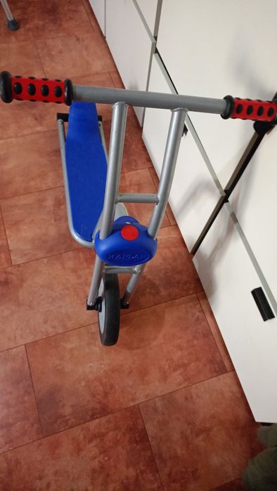 Trotineta robusta Kaplan