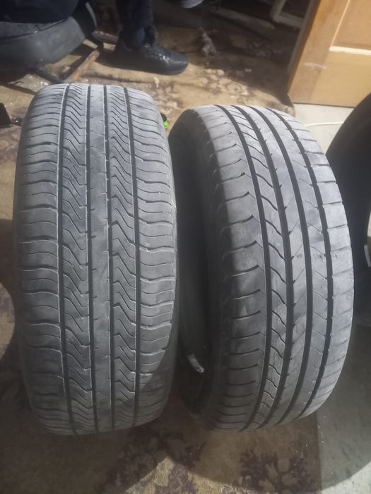 летний балон срочно