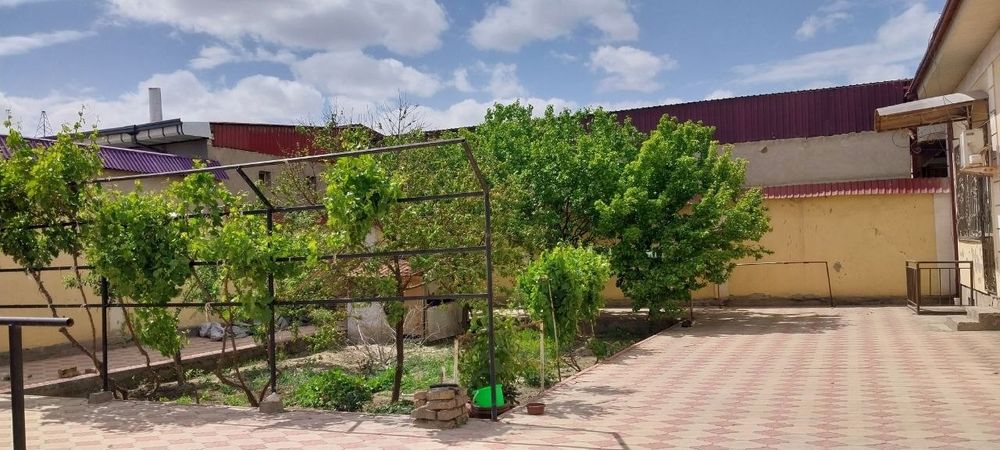 Kotej sotiladi 4 xonali