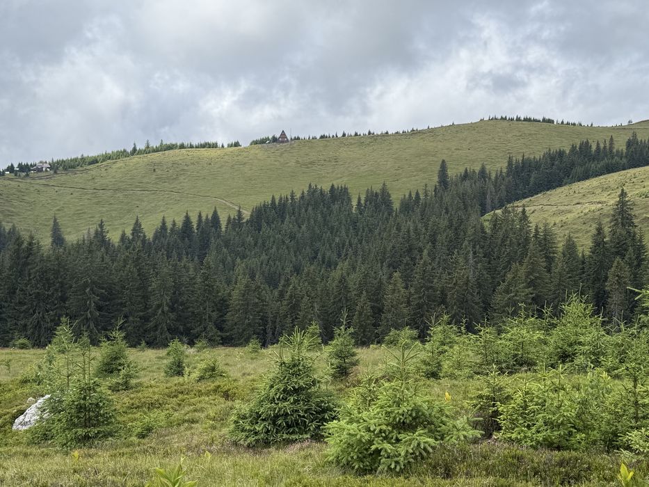 Cedez concesiune lot vf roman bolca 3