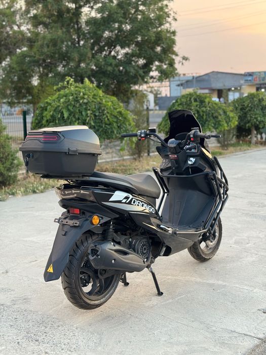 Benzinli Tiger mdoel magazindan garantiya A19