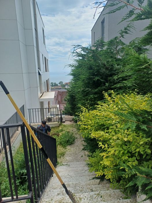 Косене на трева.Почистване на дворни места от храсти,дървета