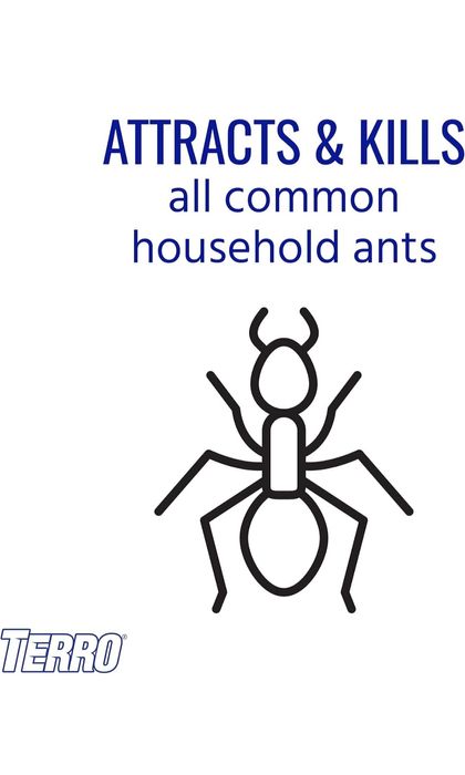 Средство от меравьев в доме