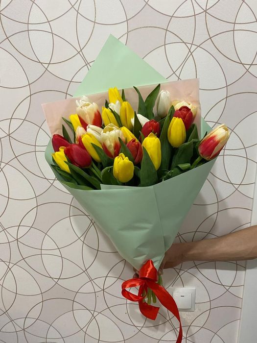 Тюльпан тюльпан цветы