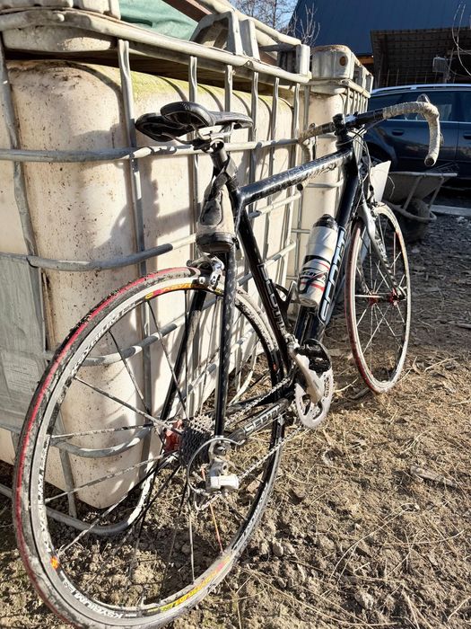 Bicicleta de sosea Cipollini