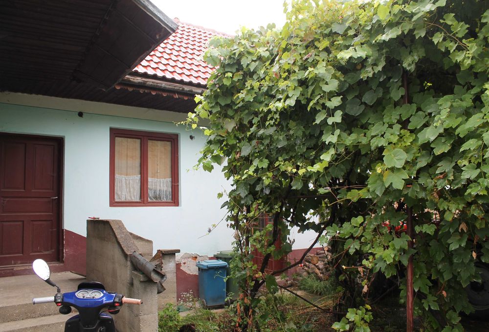 Casa in  Sinca noua