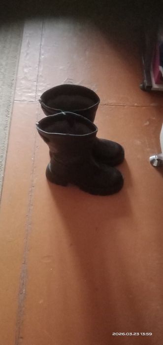 Женские сапоги зимние