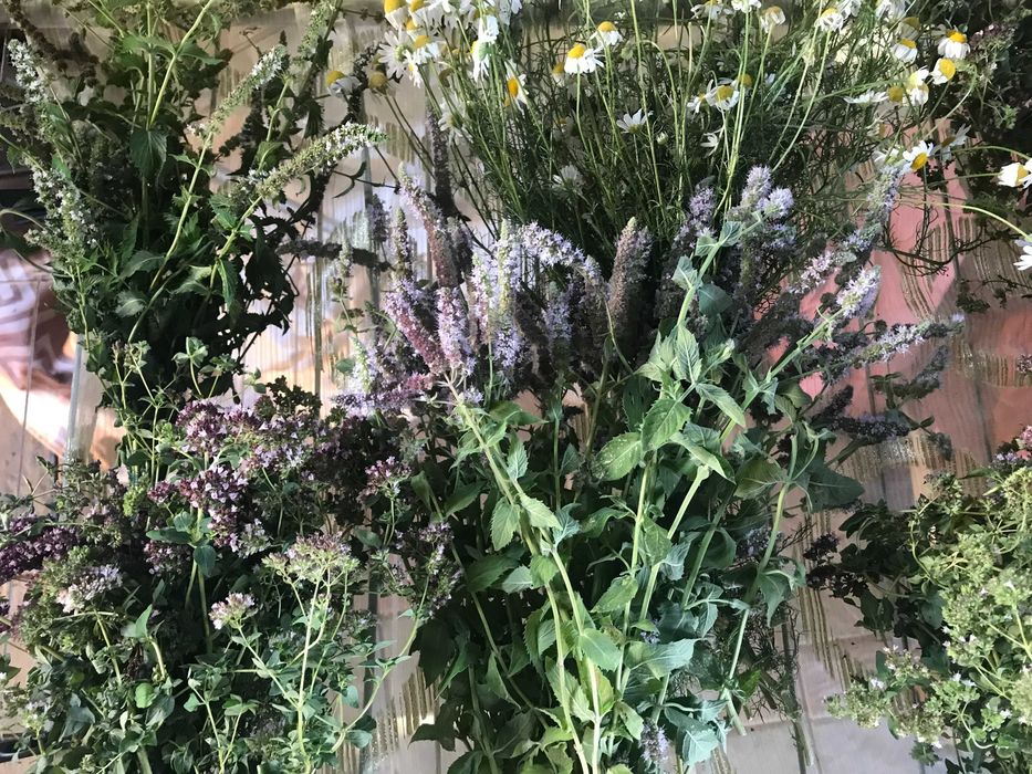 Сушенные Тимьян (Чабрец Богородская трава).