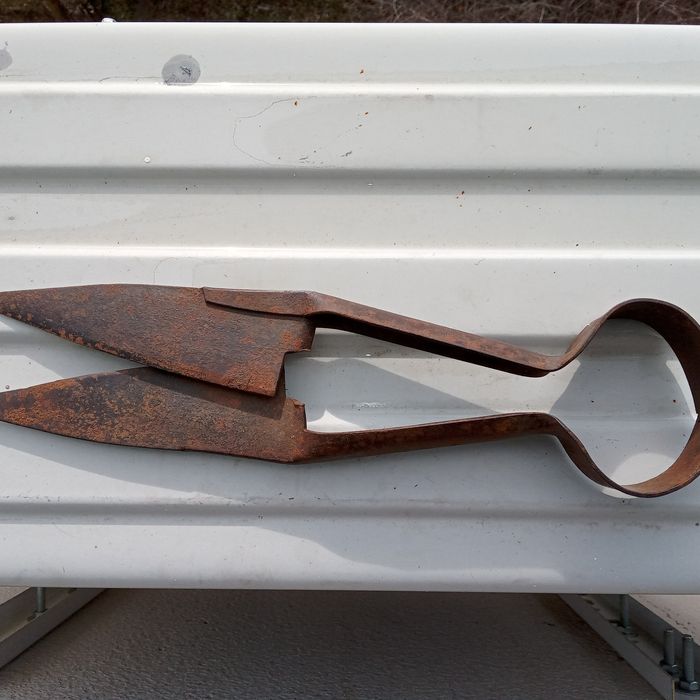 Ножица за подстригване на овце