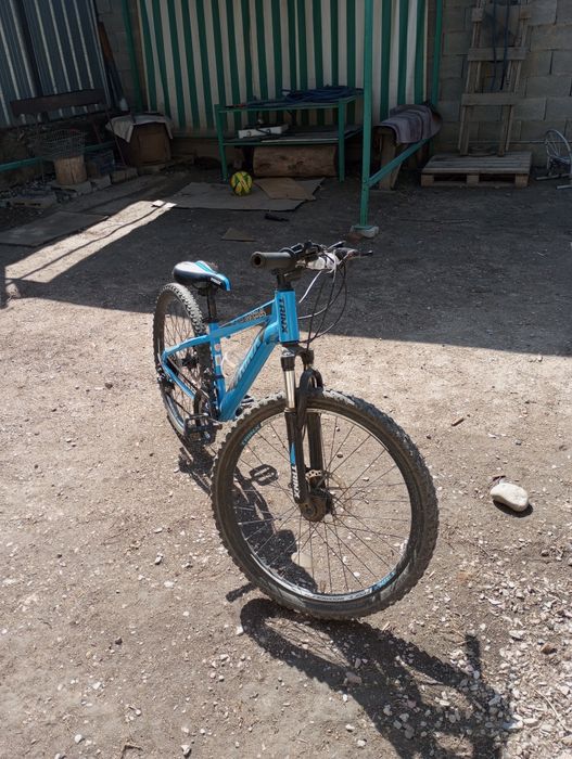 Trinix M134 цвет синий