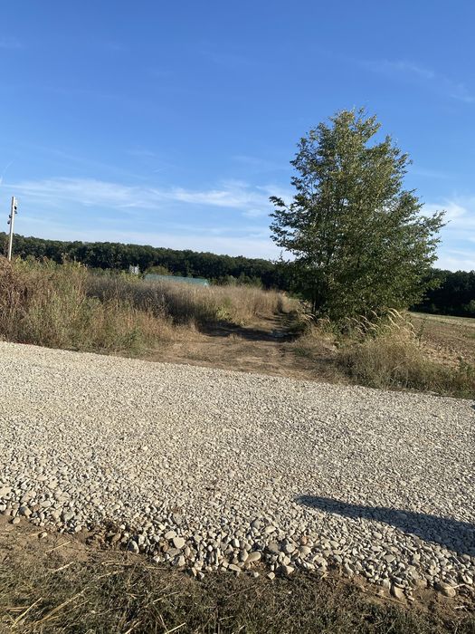 Proprietar vand 500 m intravilan Ghermanesti-Snagov