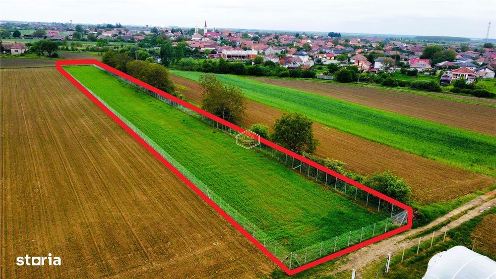 Teren 3.600 m² in Odoreu | 7 km de Satu Mare | 160 m de Principala