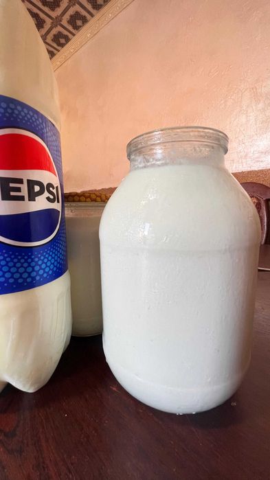 Табиғи сиыр катығы