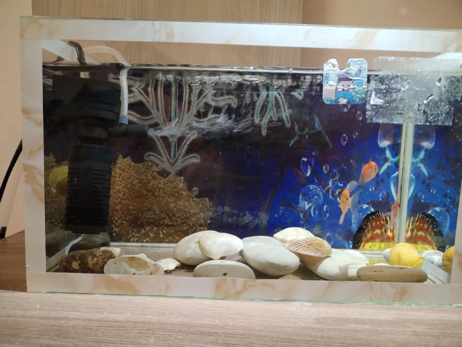 Срочно продам. Аквариум с рыбками