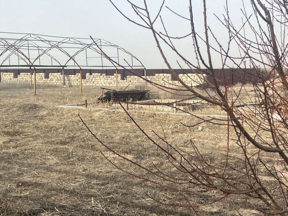 Аренда теплицы в балауса