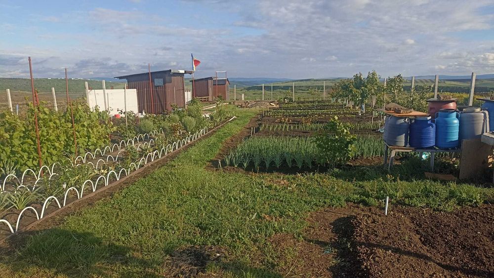 Teren Intravilan 470 mp – Horlești, Comuna Rediu (Proprietar)