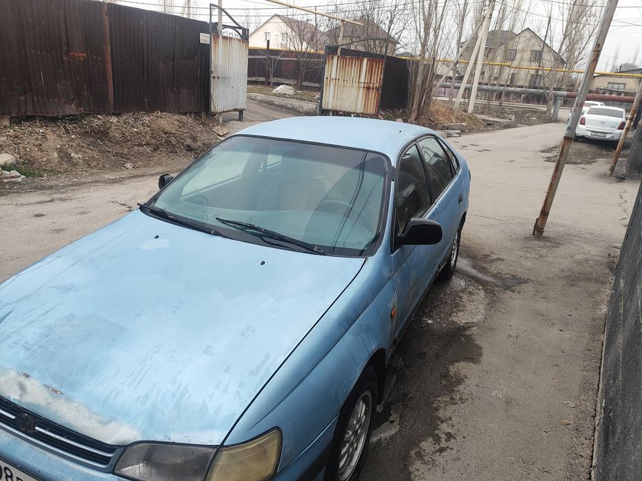 Карина Е Karina E