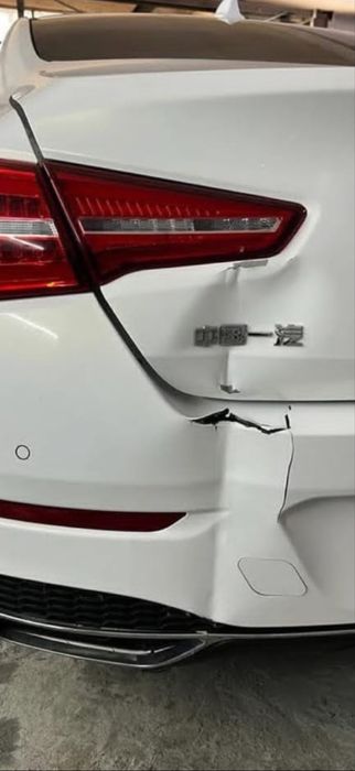 Костоправ маляр