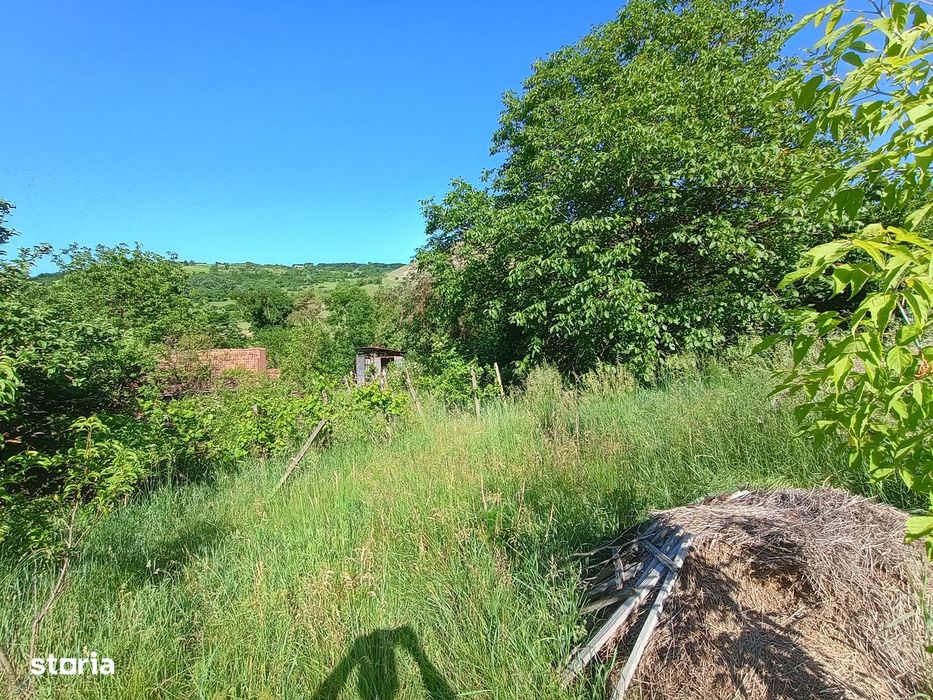 Vila din Gradina Racoți / Conac 5 camere / 6000m2