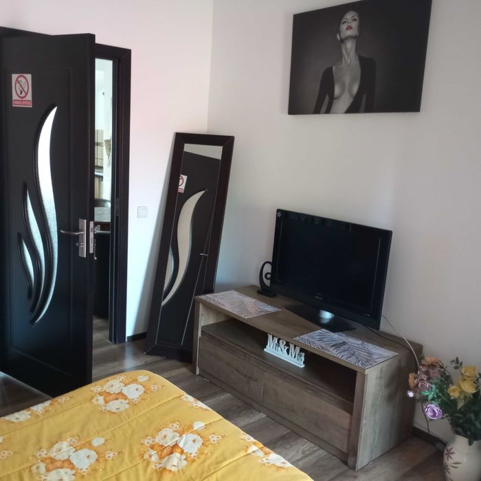 Cazare regim hotelier,garsoniera,apartament,2 km Centua Buziasului