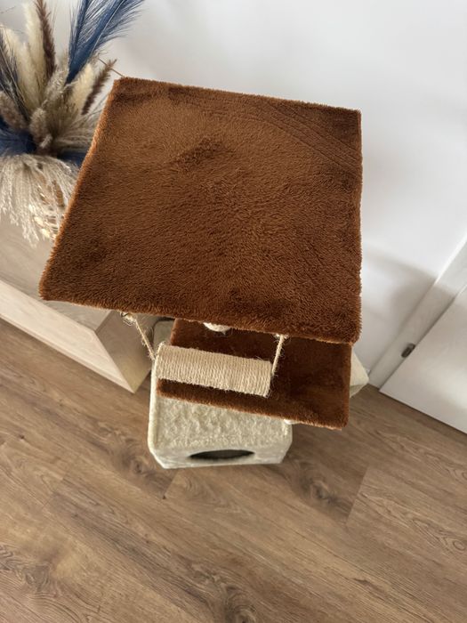 Ansamblu joacă pisici