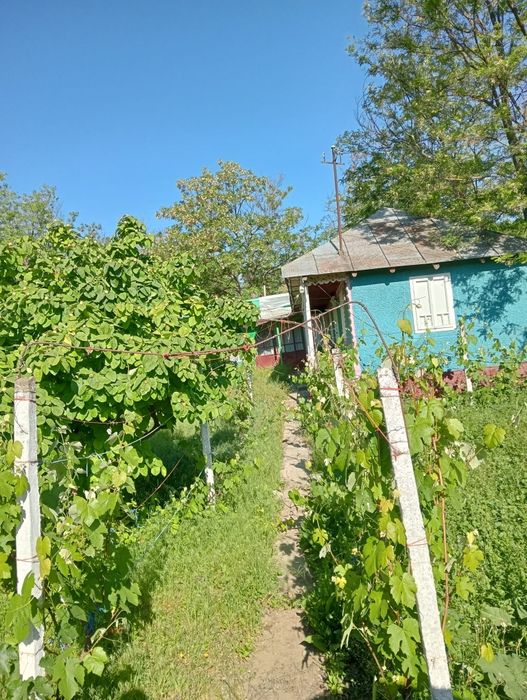 Vind casă la țară