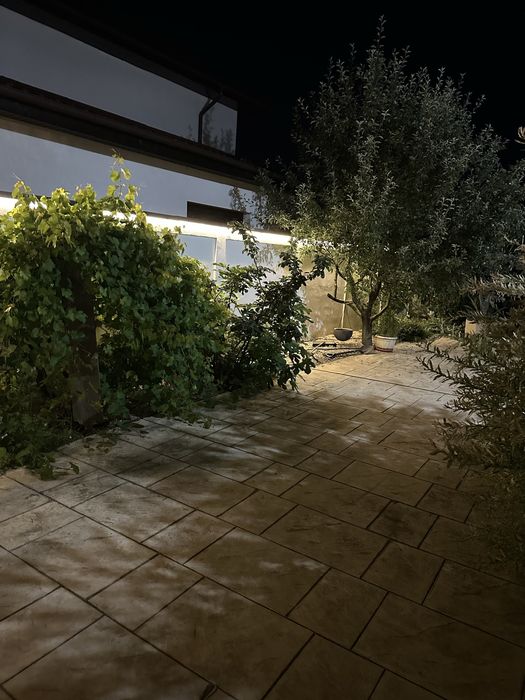 Vand Casa cu piscina in Branesti