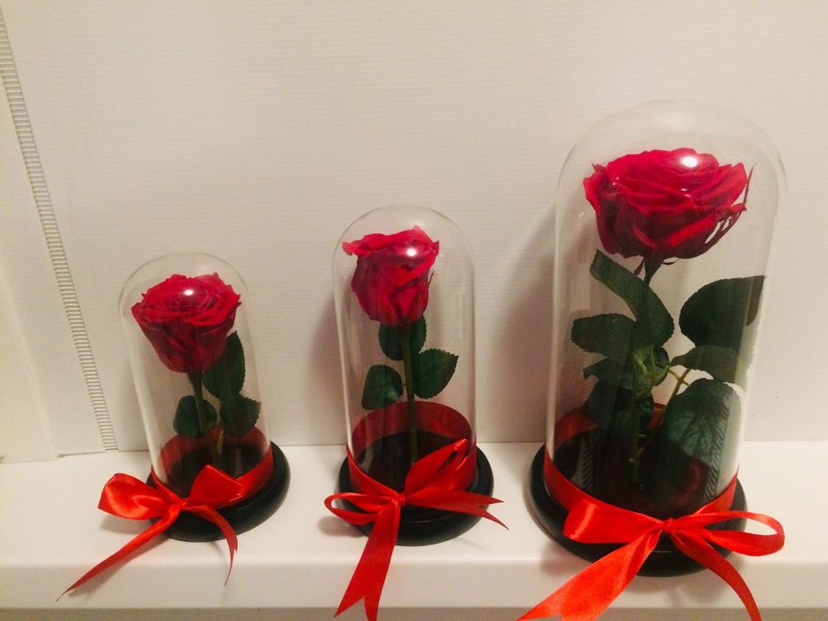 Trandafiri criogenati rosii