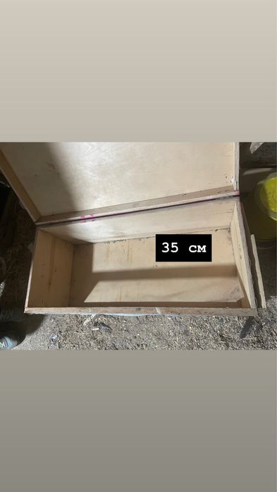 Балапанға брудер сатлады