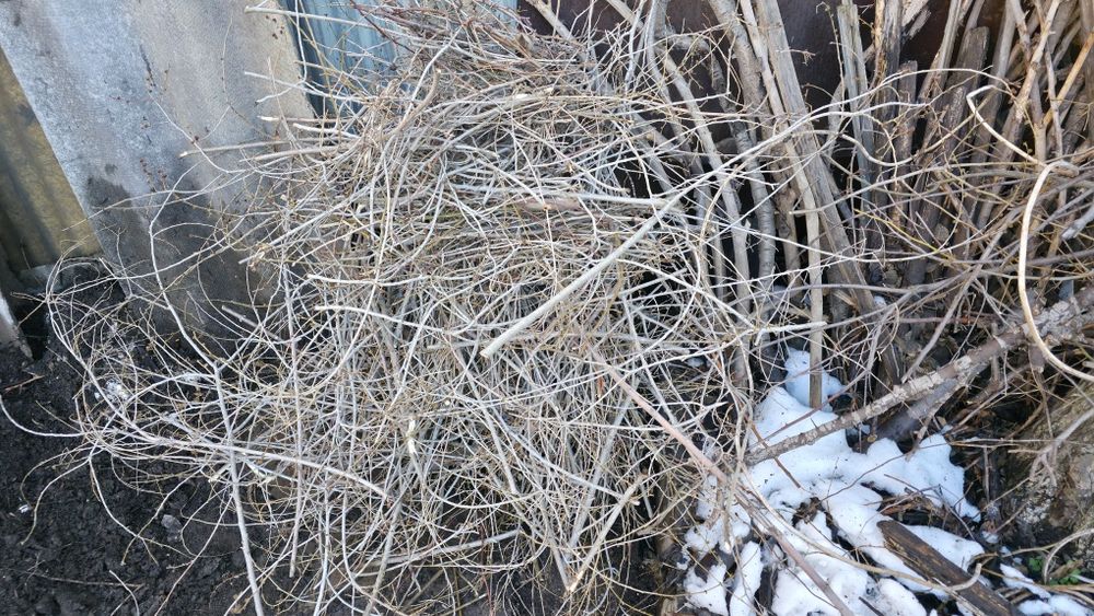 Отдам дрова хворост