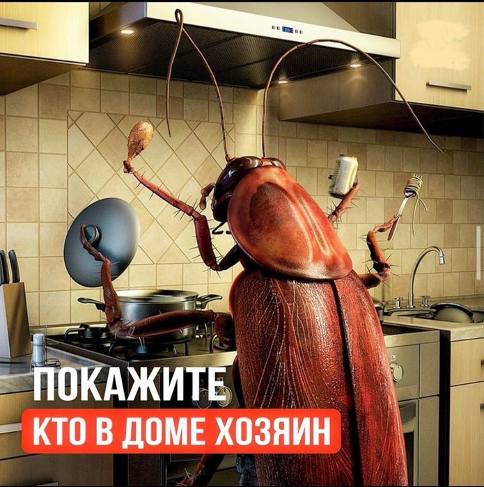 Dezinfeksiya Xizmati 100% Дезинфекция