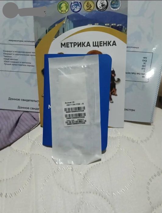 Московская сторежевая, девочка