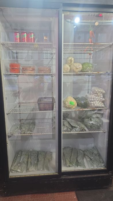 Холодильник двух дверный