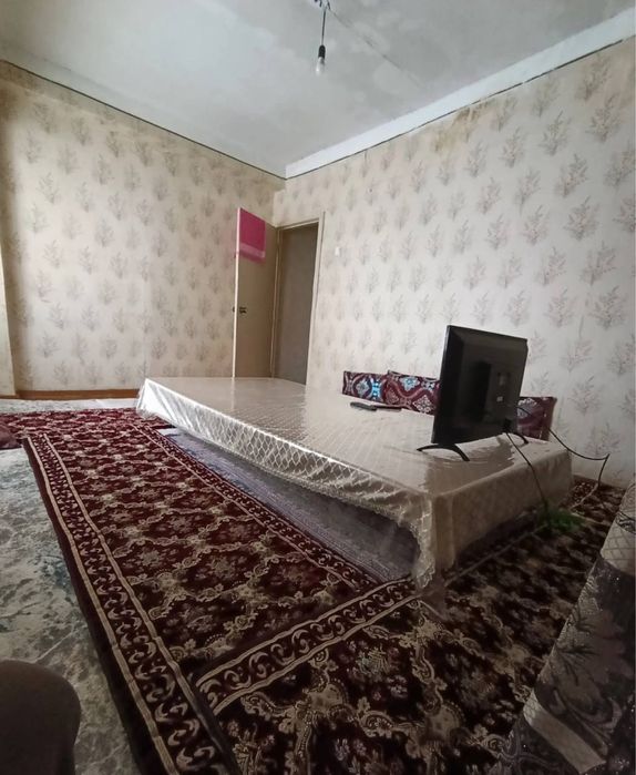 N6843 Olmazor tumani Qora qamish 2/4.   2/4/4