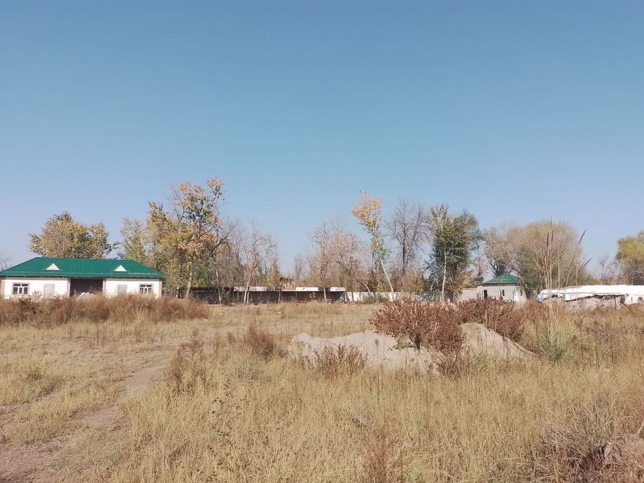 Прадаётся земля в г Янгиюль  200 сотих variantkayam beraman