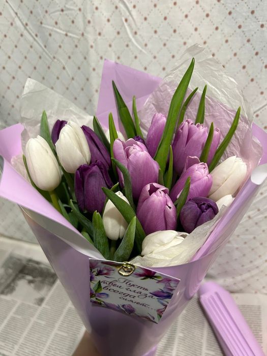 Тюлпаны Город Павлодар Аксу