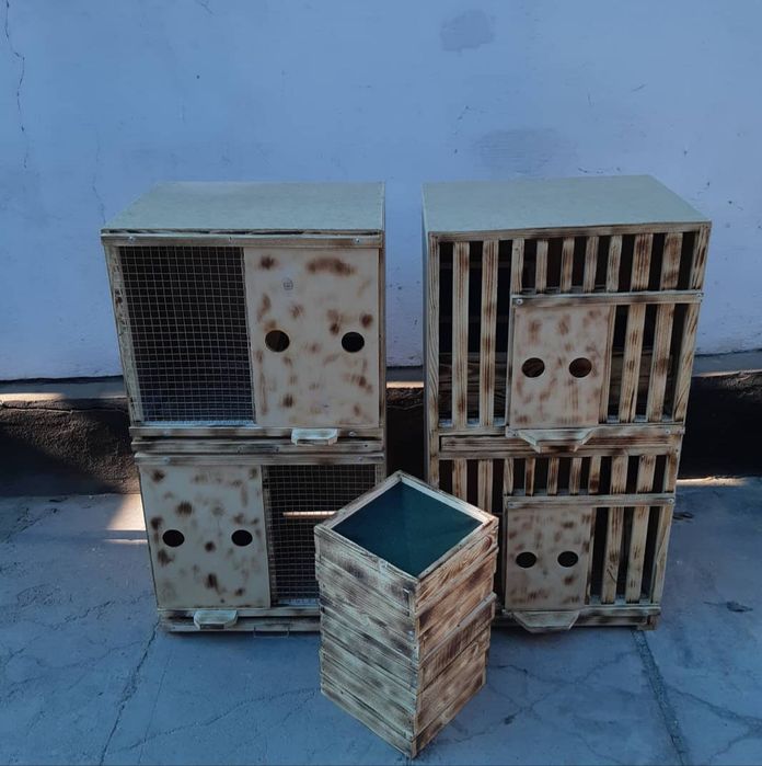 Парольная для голубей