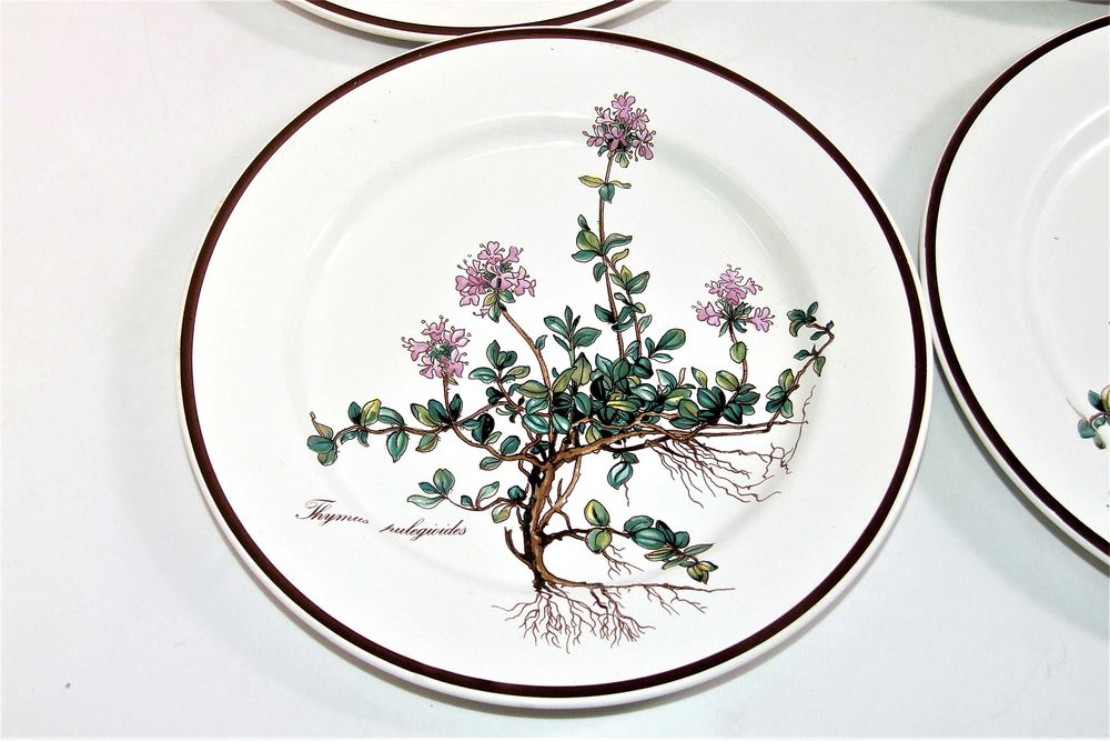 Set 10 Farfurii Botanica Villeroy & Boch pictate flori de cimbru, NOU