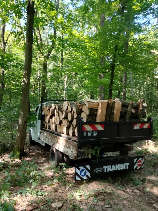 vănd lemne de foc transport in tot județul