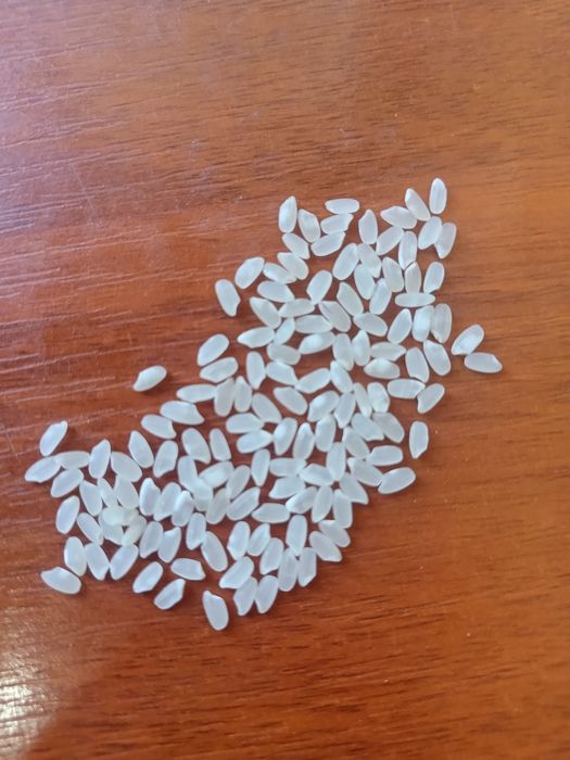 Күріш лидер, Рис лидер