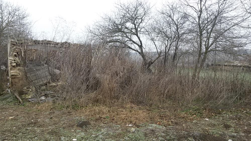 Продава се Парцел в с. Нейково, Област Добрич - 2400 кв.м за 6 €/кв.м - Снимка #6