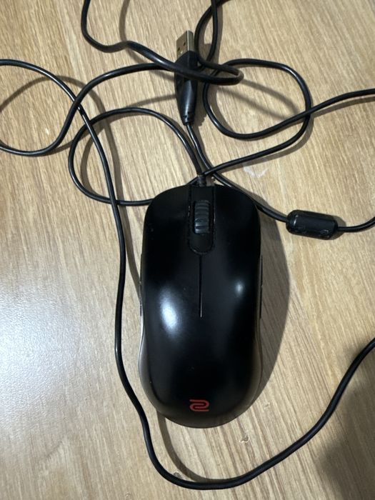 BenQ ZOWIE FK2 Gaming Mouse