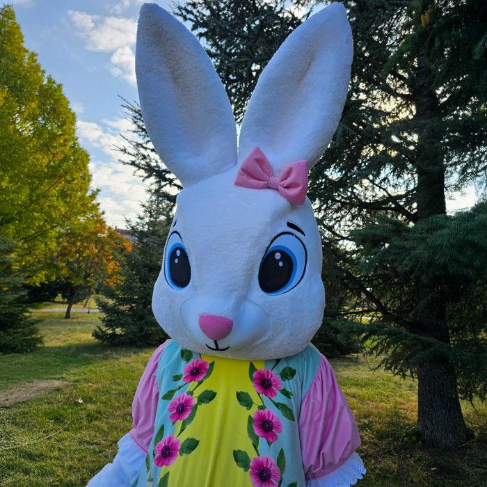 Costum Mascotă Iepuraș de Paște Alb Profesional cu Rochie Florală