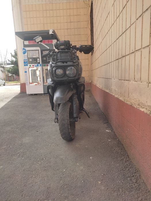 Skutr Tank Cavalo 150 kub arginali