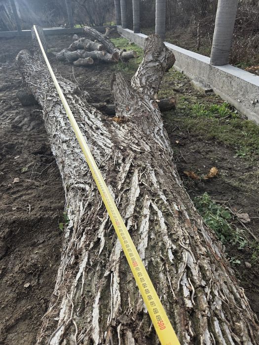 Дървен матерял,орех