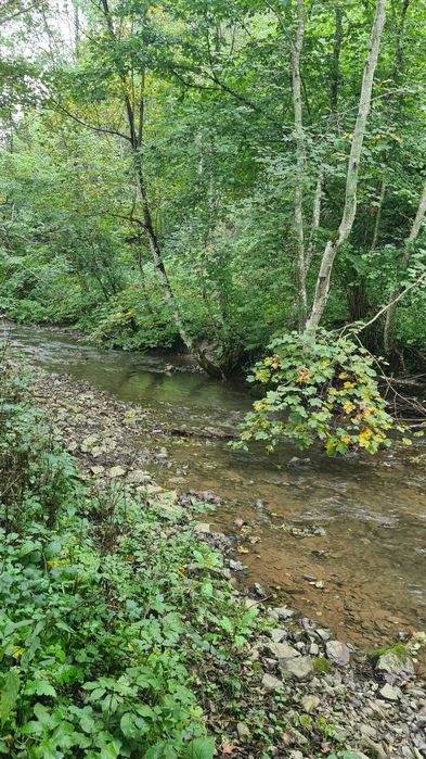 Vand proprietate pe Transapuseana