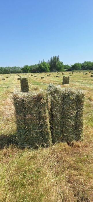 Pres sotiladi dag'al hashak