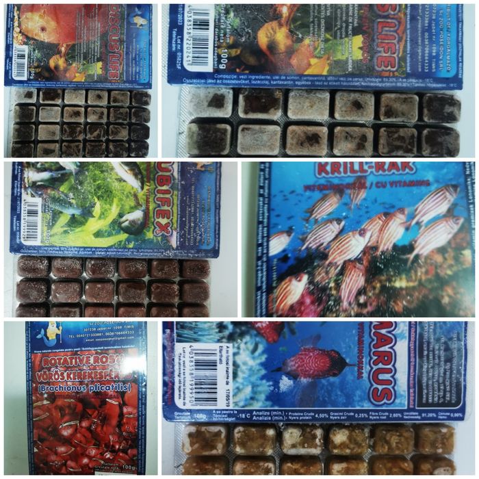 Hrana congelata de vie baby și maturi- pesti