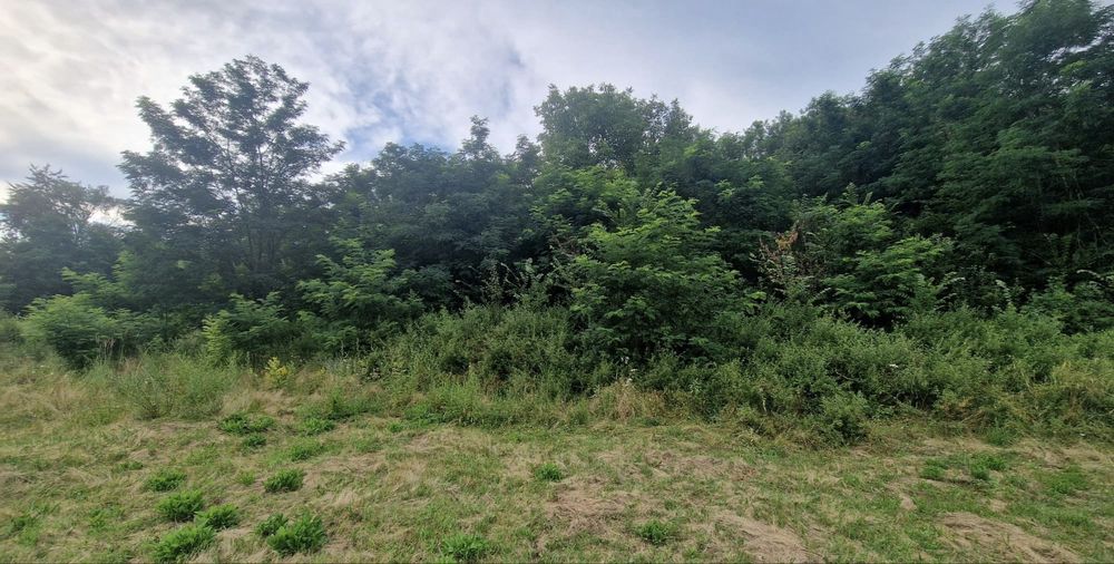 Teren 6.400 mp de vânzare – Mioveni, Racovița – 2.517 mp intravilan