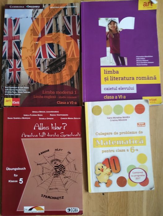 Lot manuale clasa a VI a română și engleza